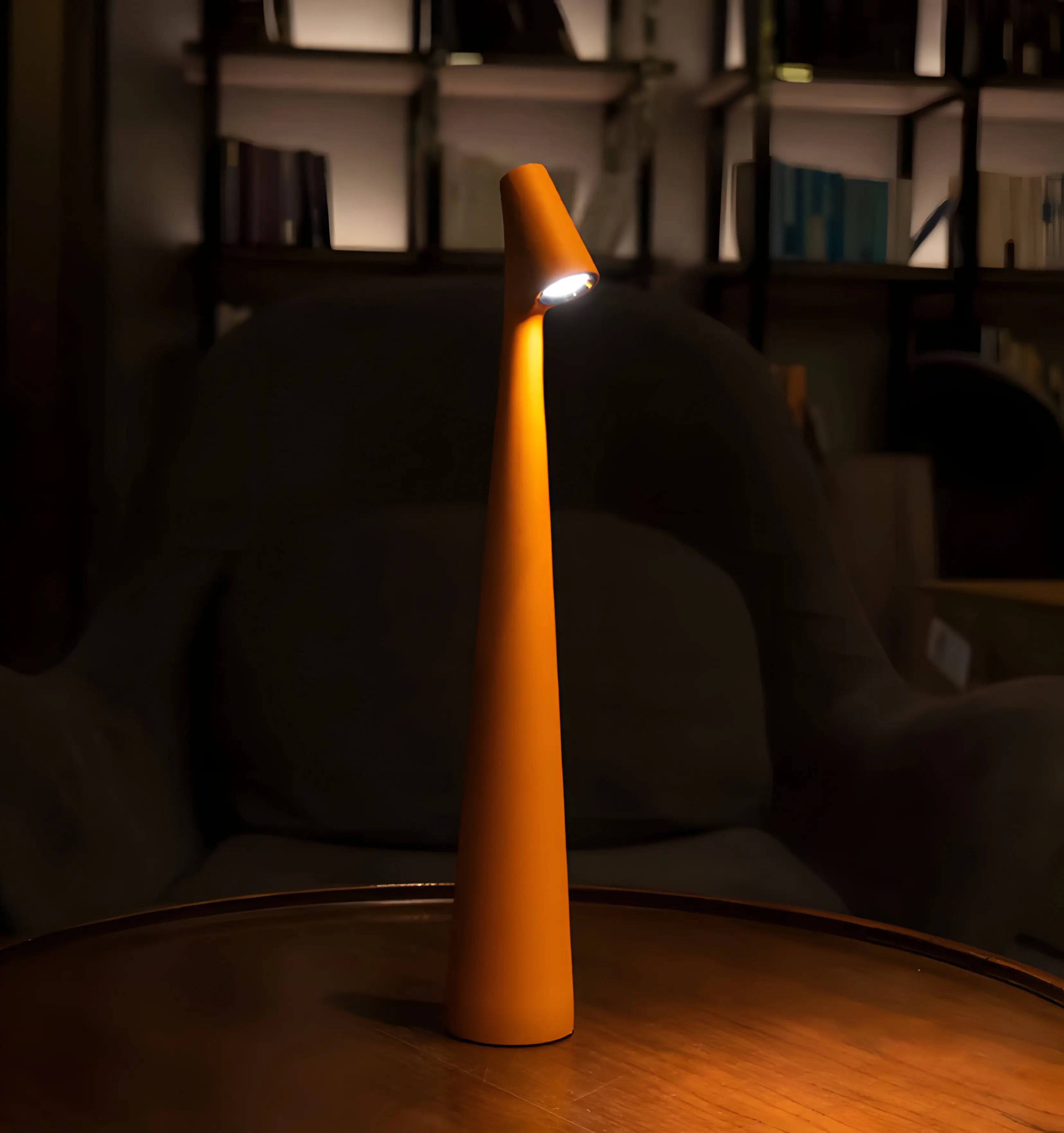 Africa Built-in Battery Table Lamp - Yiarolight