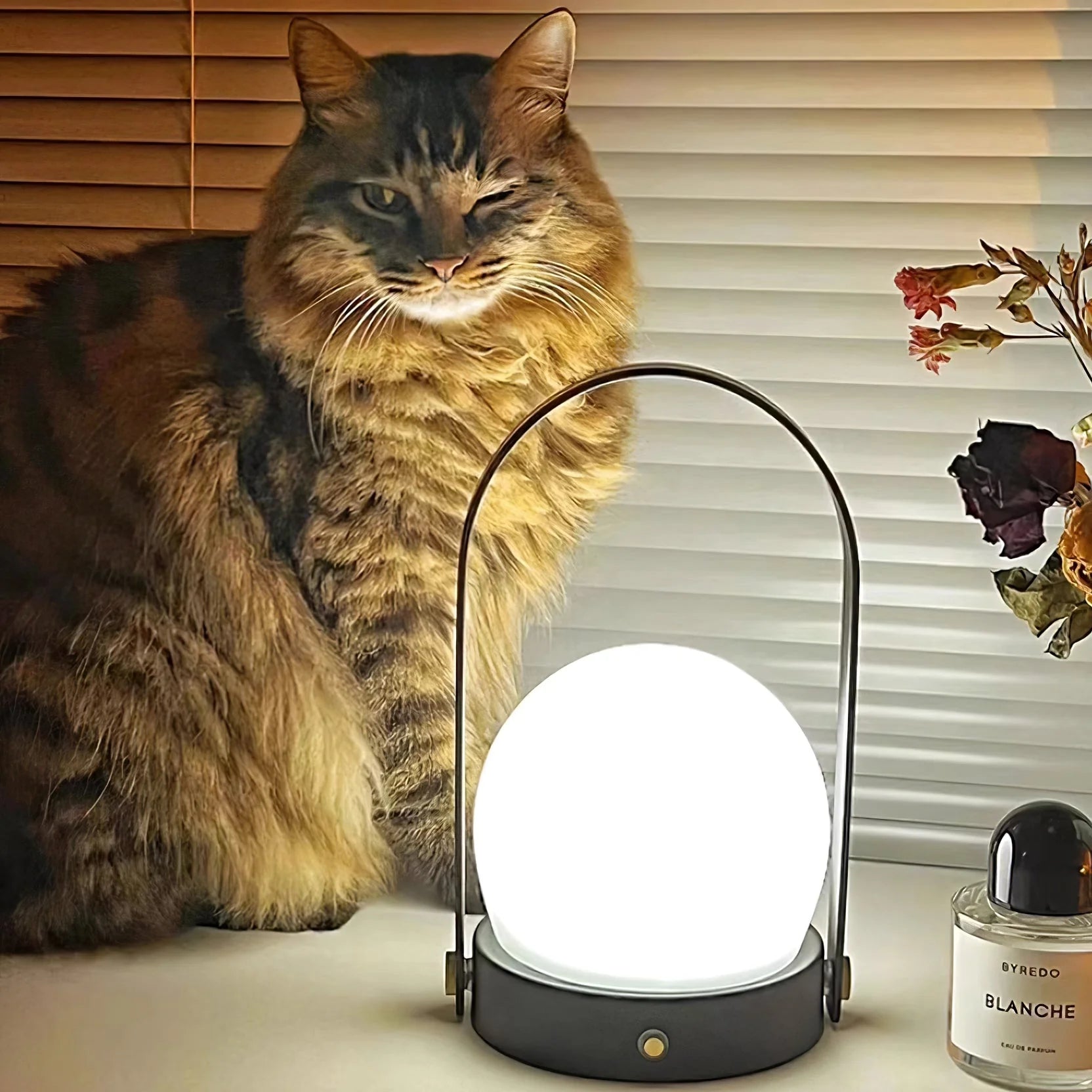 Carrie Built-in Battery Table Lamp - Yiarolight