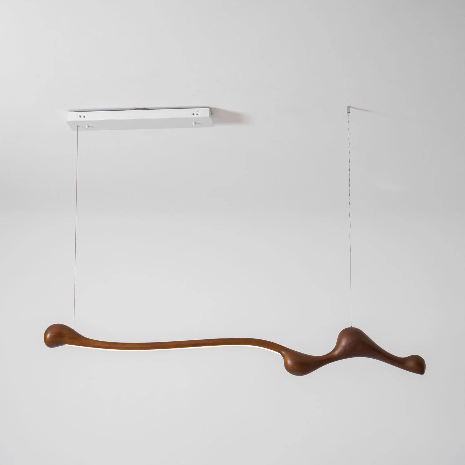 Curva Pendant Lamp