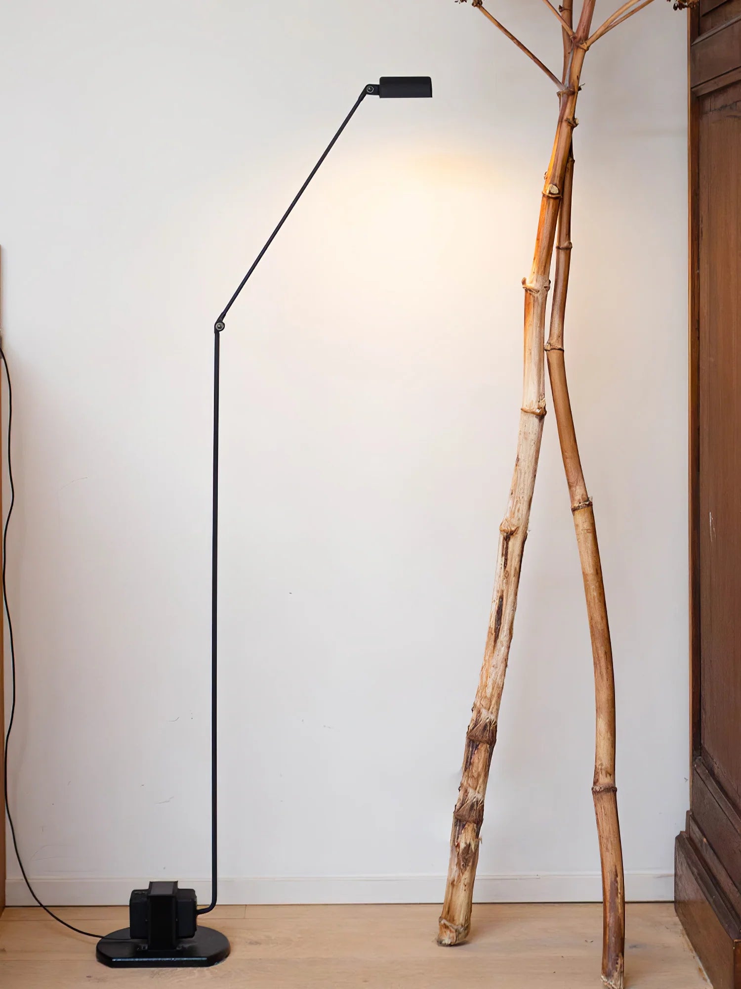 Dynamo Floor Lamp - Yiarolight
