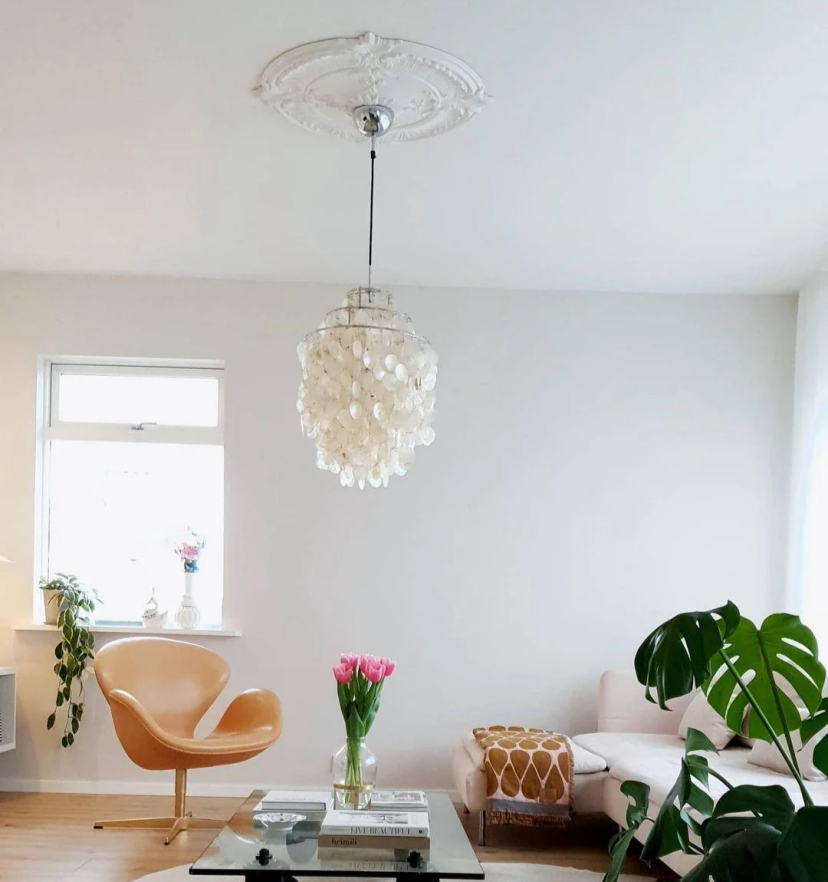 Round Shell Chandelier - Yiarolight