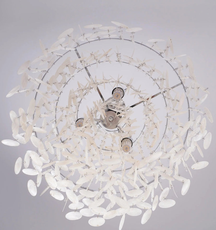 Round Shell Chandelier - Yiarolight