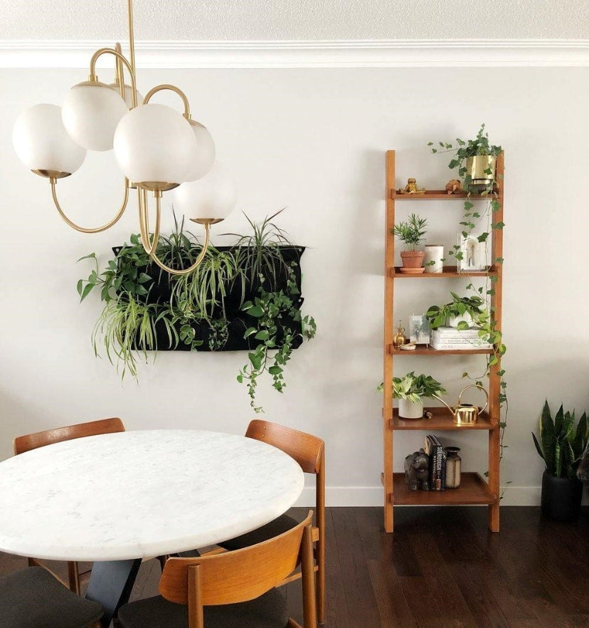 Gooseneck Chandelier - Yiarolight