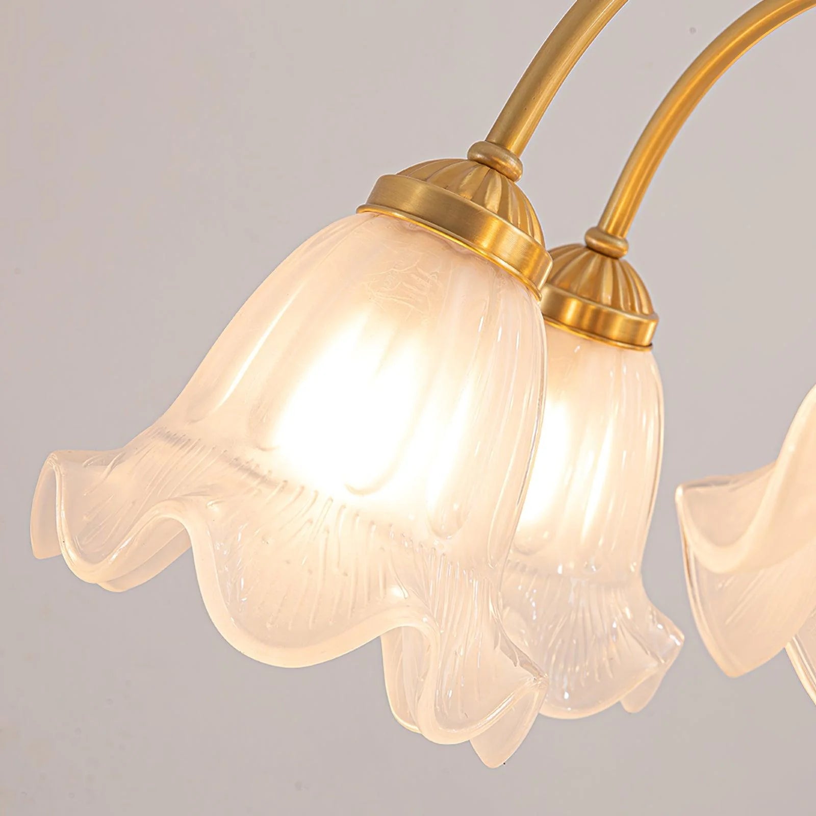 Lily Chandelier - Auraolight