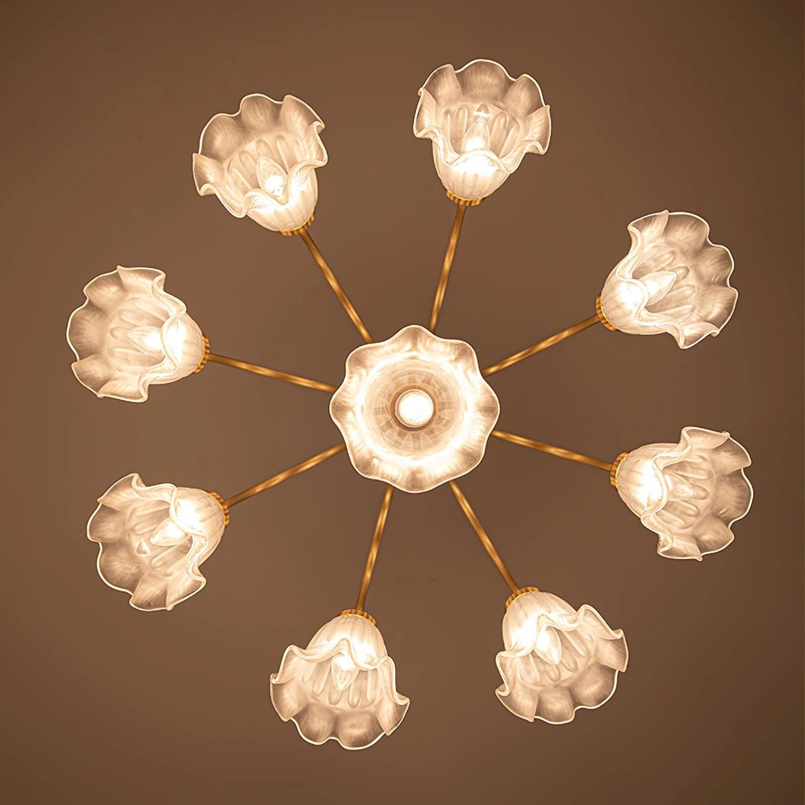 Lily Chandelier - Auraolight