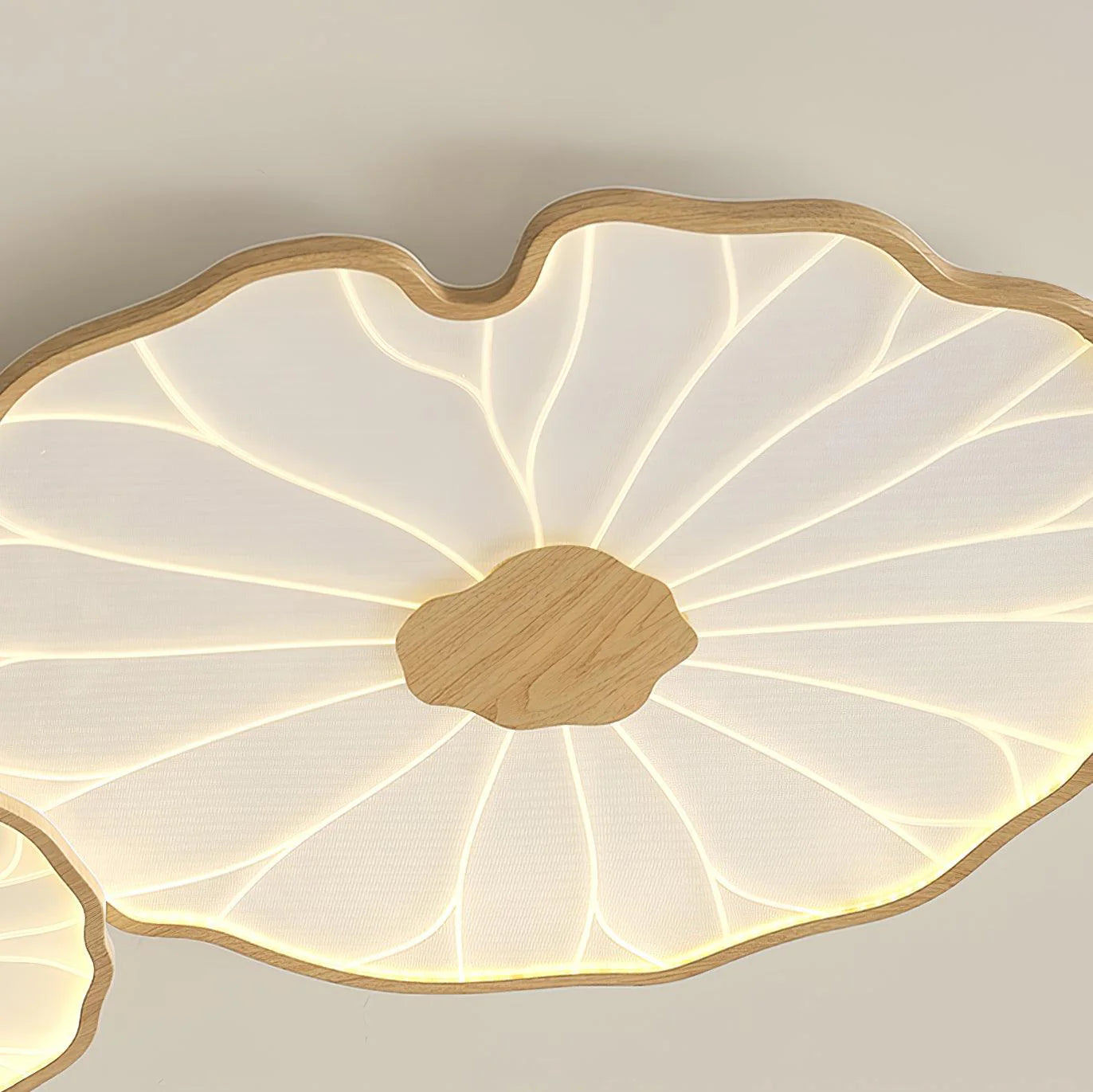 Lotus Leaf Acrylic Ceiling Lamp - Auraolight