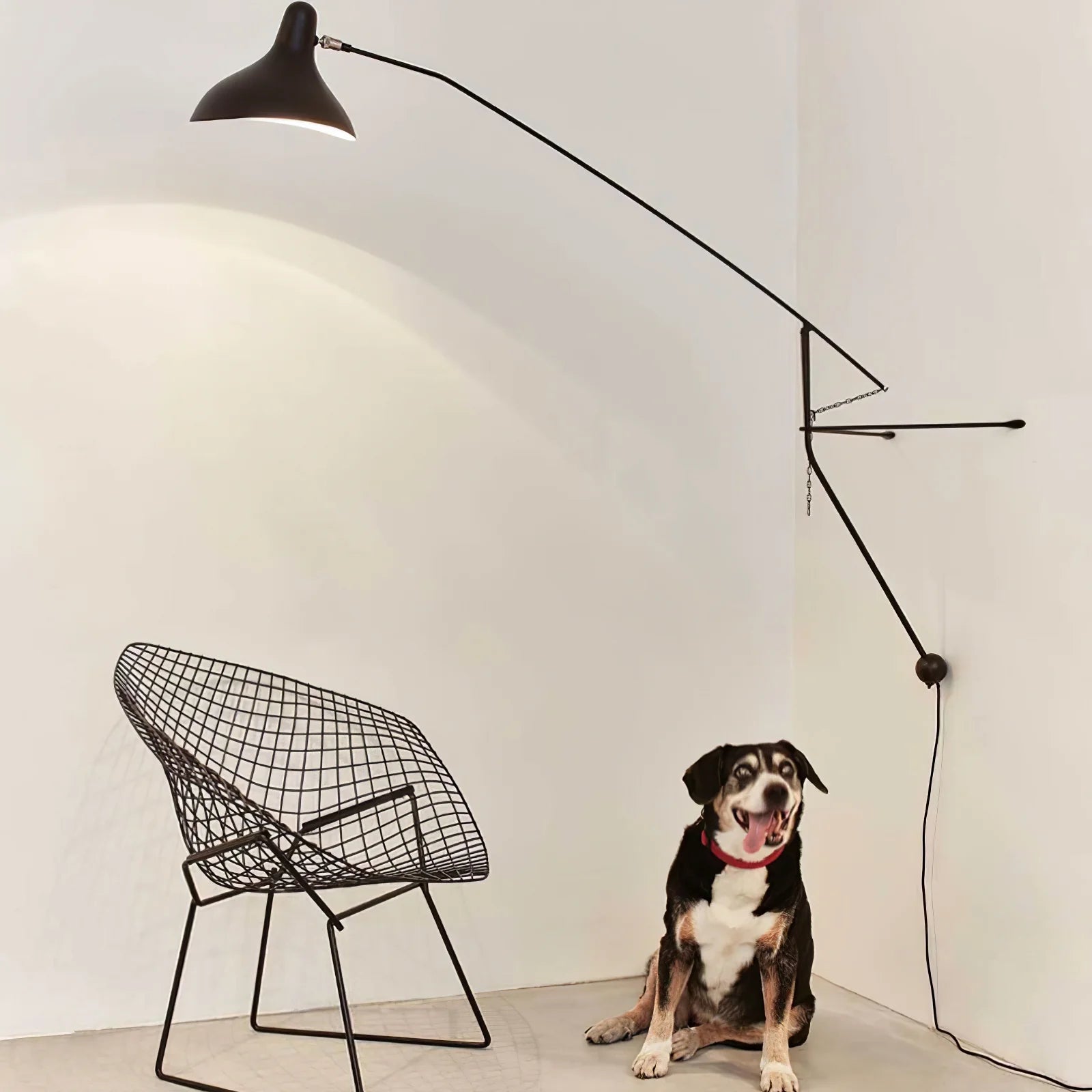 Mantis Arm Wall Lamp - Yiarolight