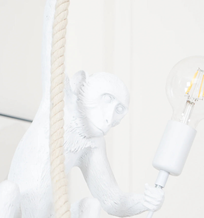 Monkey Pendnant Lamp - Yiarolight