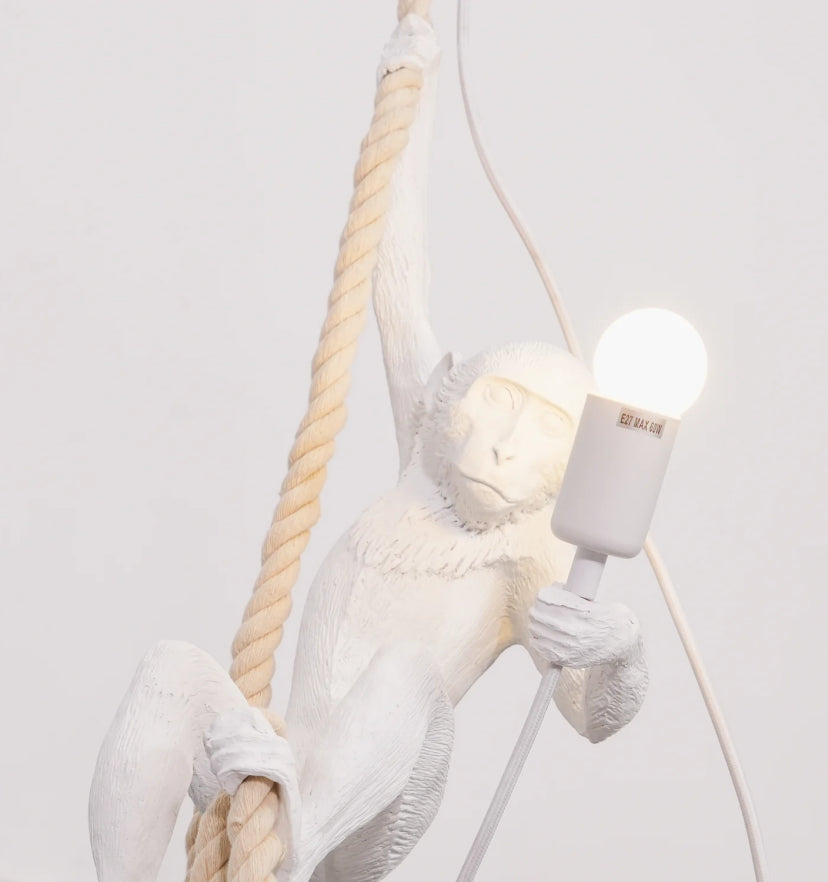 Monkey Pendnant Lamp - Yiarolight