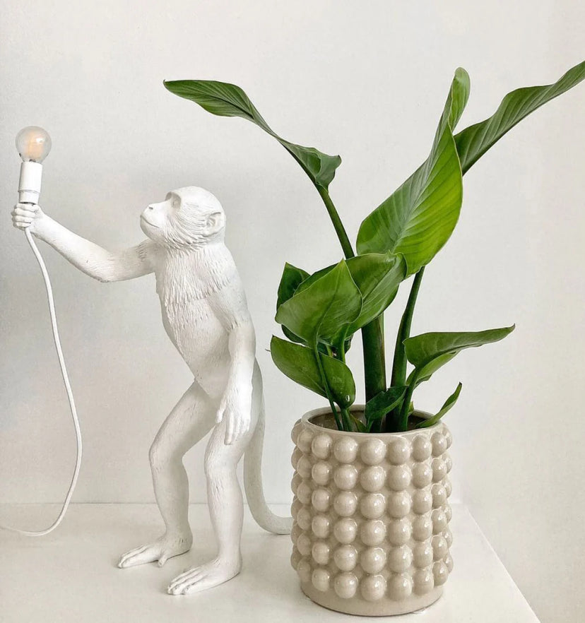 Monkey Table Lamp - Yiarolight
