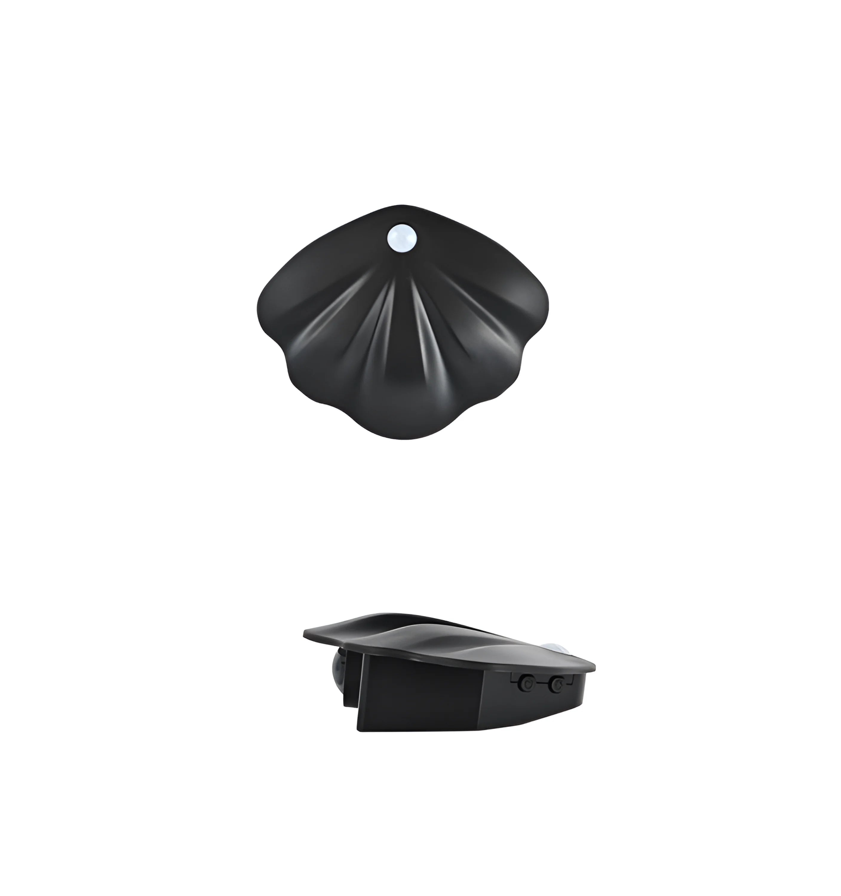 Motion Sensor Seashell Picture Light
