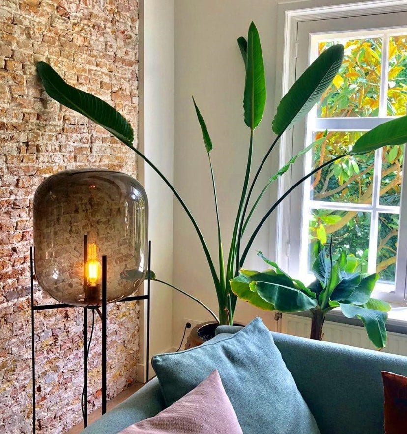 Oda Floor Lamp - Yiarolight
