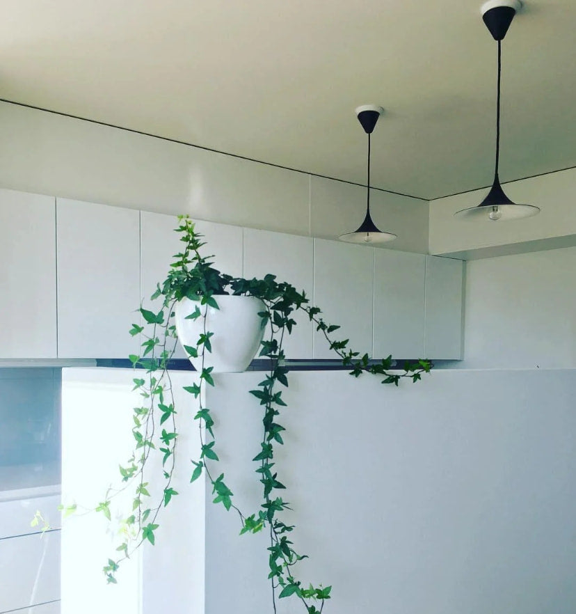 Semi Pendant Light - Yiarolight