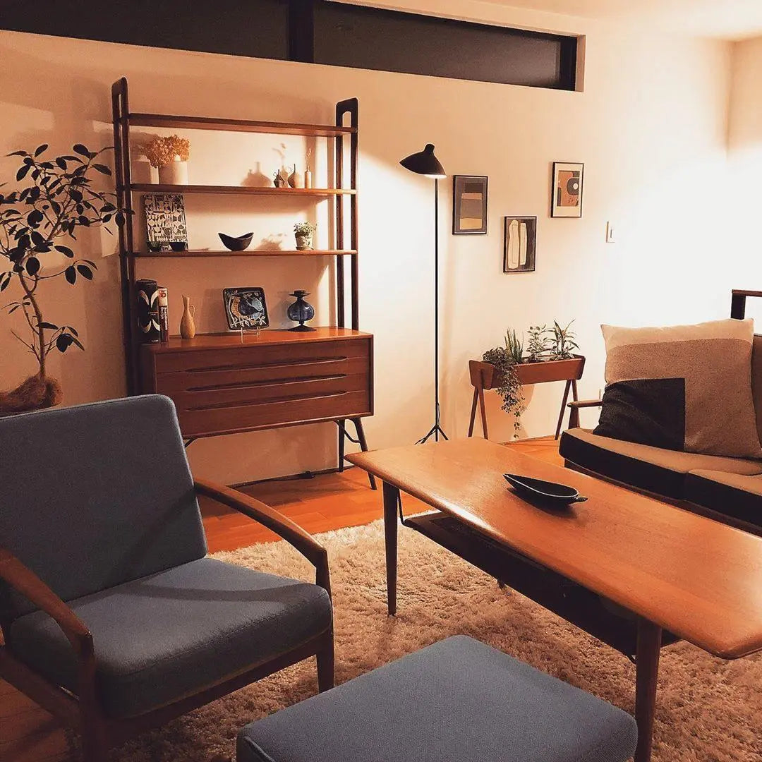 Serge Mouille Floor Lamp - Yiarolight